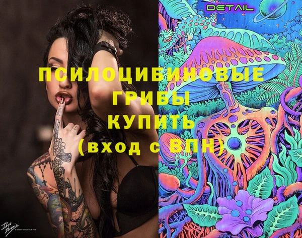дживик Алзамай