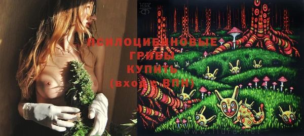 шишки Алексеевка