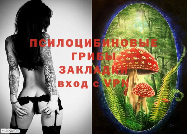 шишки Алексеевка