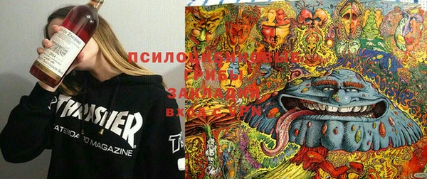 прущие крисы Няндома