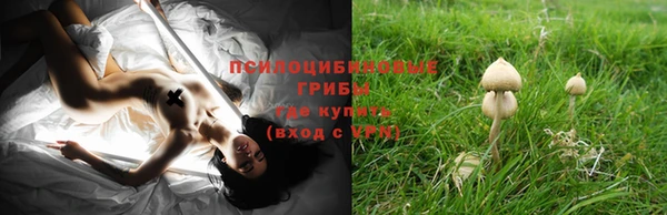круглые Алексин