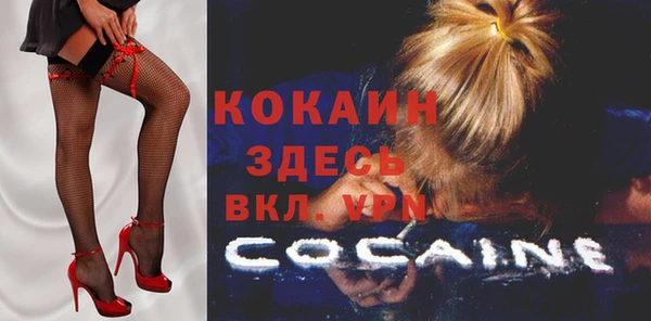 дживик Алзамай
