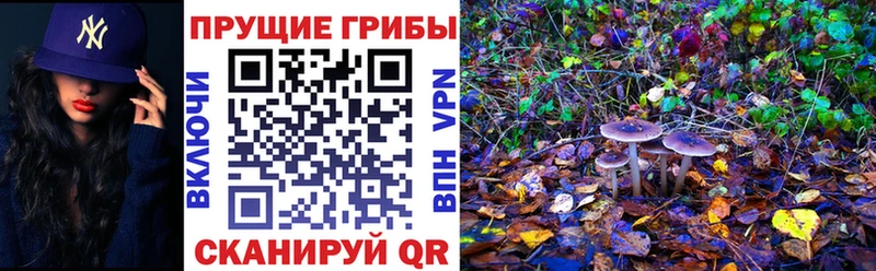 Галлюциногенные грибы мухоморы  Гурьевск 